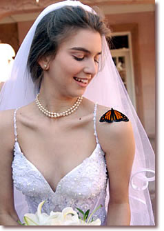 Butterfly on Bride's Shoulder